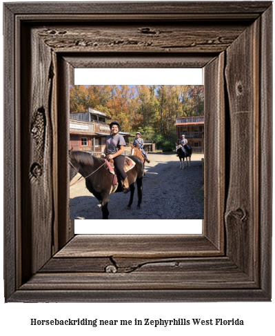 horseback riding near me in Zephyrhills West, Florida